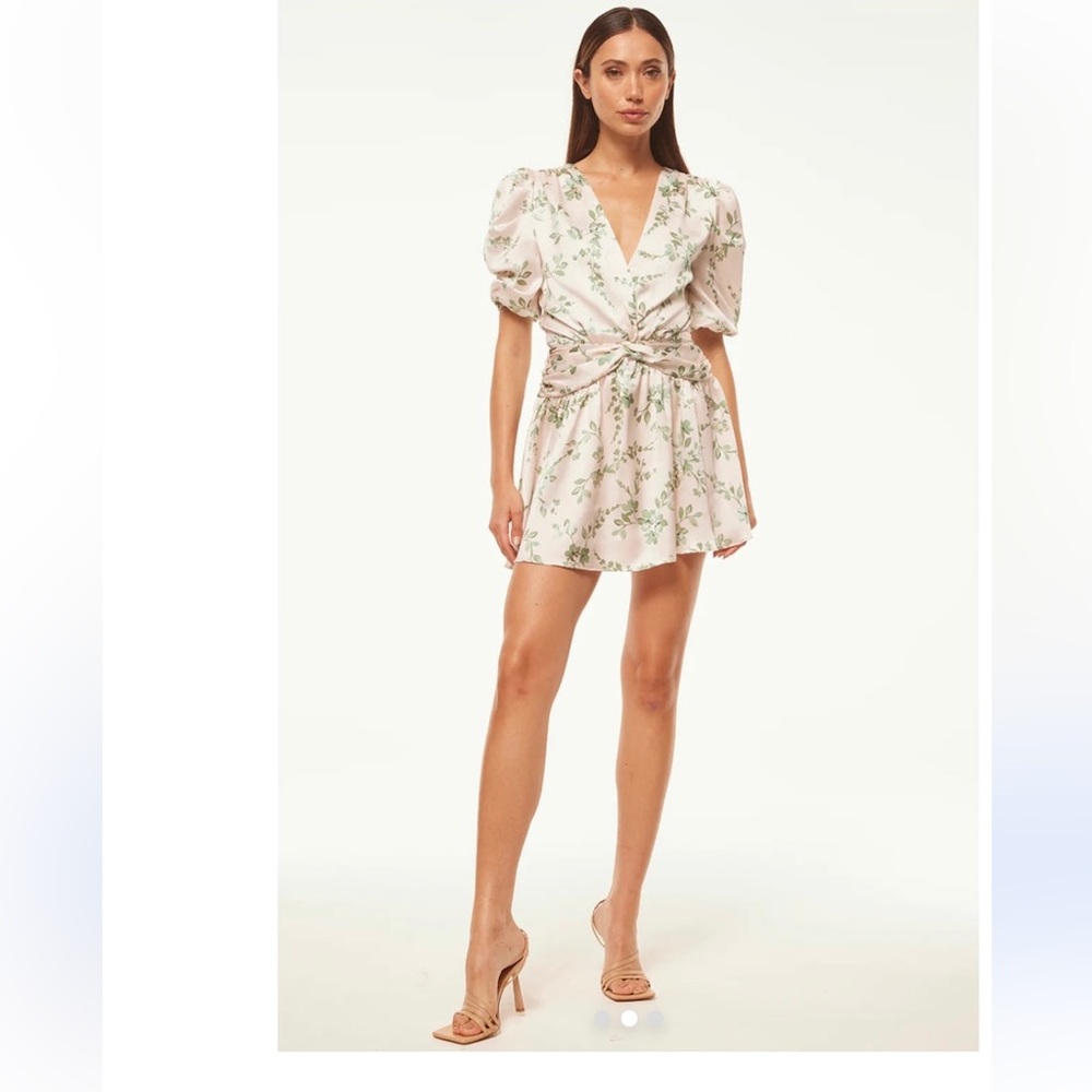 Misa Los Angeles Narcissa Mini Dress